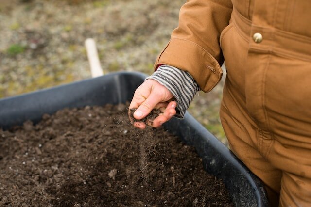 cremation services in Highlands Ranch CO